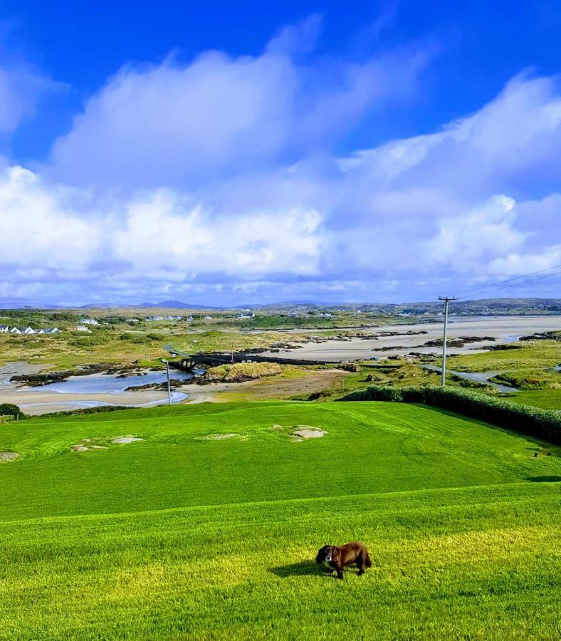 Bed and Breakfast Tidal View Kincasslagh Екстер'єр фото